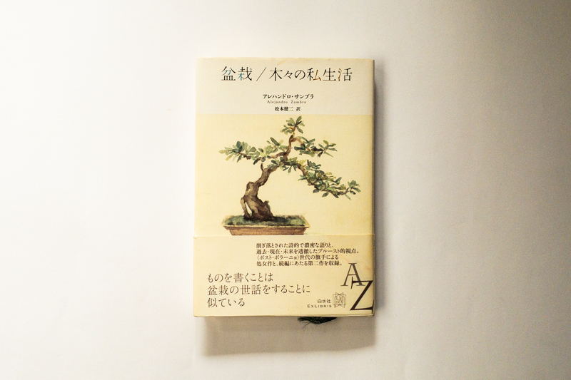牟田都子『校正者の日記 二〇一九年』（栞社） | 本の読める店 fuzkue