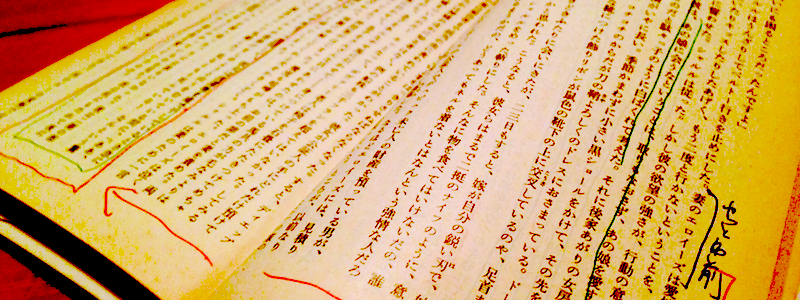 『ボヴァリー夫人』論 ボヴァリー夫人」論』(筑摩書房) - 著者：蓮實 重彦 - 斎藤 環